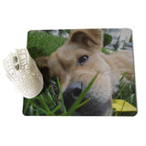 MaiYaCa  Puppies lying on the ground Laptop Computer Mousepad Size for 18x22x0.2cm Gaming Mousepads - one46.com.au