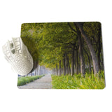 MaiYaCa  Tree Lined Trail Laptop Gaming Mice Mousepad Size for 18x22x0.2cm Gaming Mousepads - one46.com.au